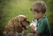 Фото - Роль домашних животных в воспитании эмпатии