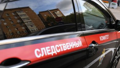 Фото - В Архангельской области мальчик погиб от удара током