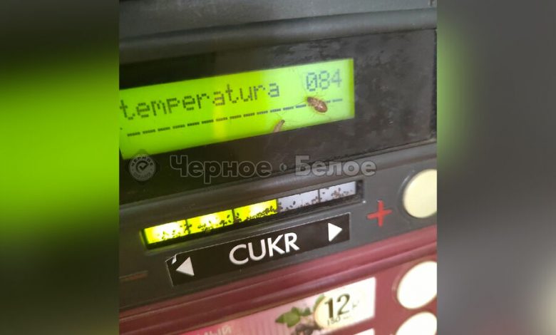 Фото - В магнитогорской школе местные жители обнаружили насекомых в автомате с напитками